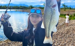 狼群社区论坛在线观看